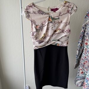 Ted Baker Floral Bird Print Dress with Black Skirt